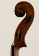 50000$ 4/4 Very Old Violin Possibly N.  Gagliano 1793 / Or Workshop String photo 8