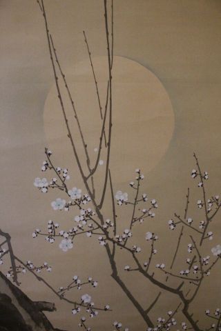 E06a2 White Moon & Ume Plum Tree Japanese Hanging Scroll　 photo