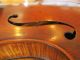 Stunning Heavy Flame Or Tiger Stripe Hopf Violin Full Size 4/4 String photo 9