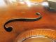 Stunning Heavy Flame Or Tiger Stripe Hopf Violin Full Size 4/4 String photo 10