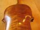 Stunning Heavy Flame Or Tiger Stripe Hopf Violin Full Size 4/4 String photo 1