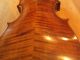 Stunning Heavy Flame Or Tiger Stripe Hopf Violin Full Size 4/4 String photo 2