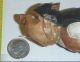 Antique German Hand - Carved Wood Figure By Anri - Toothpick Holder (?) - Estate Carved Figures photo 7