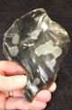 Rare Clactonian Hand Axe On A Primary Flake C400k,  Kent,  P627 Neolithic & Paleolithic photo 3