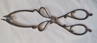 Antique Fancy Brass Coal Or Ember Tongs,  Cooking,  Fireplace Tool,  C 1850 photo