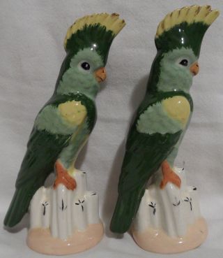 1952 Muriel Bayer Porcelain Cockatoo Figurine Pair 6 