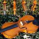Master - Grade Vintage Czech Violin - V.  F.  Cerveny & Sons.  Great Build & Sound String photo 2