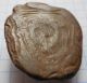 Roman Lead Pad In The Form Of A Lion ' S Head Vf, Roman photo 8