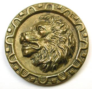 Lg Sz Antique Brass Button Detailed Majestic Lion Head Design photo