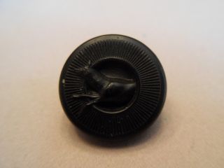 Antique Button - Goodyear 1851 - India Rubber Button - Dog With Ring photo