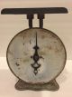 Antique Early 1900 ' S Pelouze Manufacturing Co Chicago 60 Lb Counter Scale Scales photo 3