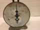 Antique Early 1900 ' S Pelouze Manufacturing Co Chicago 60 Lb Counter Scale Scales photo 6