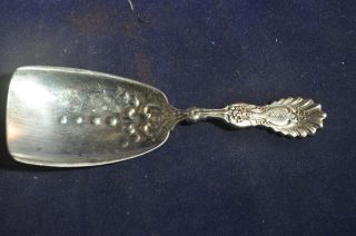 1896 Whiting Manufacturing Sterling Radiant Bon Bon Spoon photo