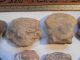 10 Nayarit Shaft Tomb Heads Pre - Columbian Archaic Ancient Artifacts Colima Mayan The Americas photo 2
