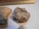 10 Nayarit Shaft Tomb Heads Pre - Columbian Archaic Ancient Artifacts Colima Mayan The Americas photo 3