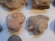 10 Nayarit Shaft Tomb Heads Pre - Columbian Archaic Ancient Artifacts Colima Mayan The Americas photo 4