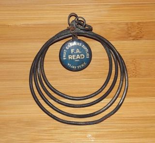 Antique 1800s F.  A Read Ny Apple Fruit Growers Vtg Primitive Measuring Wire Rings photo