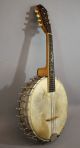 Antique Fairbanks Vega Style L 8 String Banjolin Mandolin Banjo Whyte Laydie Nr String photo 7