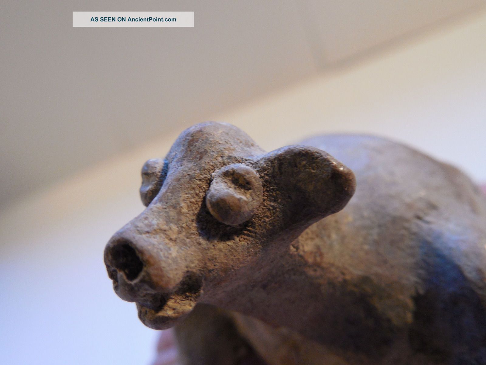 Colima Dog Vessel Shaft Tomb Pre - Columbian Archaic Ancient Artifact Olmec Mayan The Americas photo