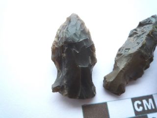 Native American Arrowheads X 3,  Archaic Artifacts,  1000bc - 8000bc (w052) photo