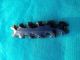 Rare Obsidian Mayan Eccentric Made From Core Blade Micro Knife Centipede The Americas photo 4
