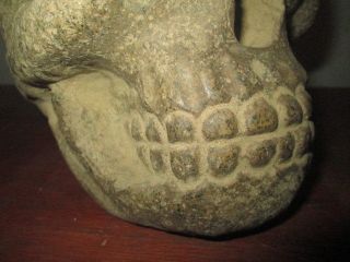 Skull Head Stone,  Moche,  Precolumbian,  Mochica photo