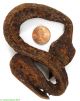 Lobi Iron Snake Ritual Shrine Object African Miniature Other African Antiques photo 1