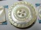 Stunning Antique Mop Shell Buttons Carved Pierced Shapes Mounted On Card Buttons photo 4
