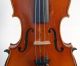 Old Antique German Fullsize 4/4 Violin - Label Copy Of Nikolaus Amatus - 1920 ' S String photo 2