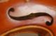 Old Antique German Fullsize 4/4 Violin - Label Copy Of Nikolaus Amatus - 1920 ' S String photo 5