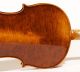 Fine Viola Labeled L.  Bisiach 1910 Geige Violon Violin Alto Bratsche Cello 410 Mm String photo 9