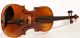 Fine Viola Labeled L.  Bisiach 1910 Geige Violon Violin Alto Bratsche Cello 410 Mm String photo 1