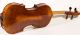 Fine Viola Labeled L.  Bisiach 1910 Geige Violon Violin Alto Bratsche Cello 410 Mm String photo 2