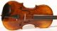 Fine Viola Labeled L.  Bisiach 1910 Geige Violon Violin Alto Bratsche Cello 410 Mm String photo 3