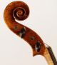 Fine Viola Labeled L.  Bisiach 1910 Geige Violon Violin Alto Bratsche Cello 410 Mm String photo 5
