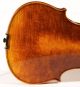 Fine Viola Labeled L.  Bisiach 1910 Geige Violon Violin Alto Bratsche Cello 410 Mm String photo 8