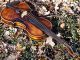 Fine Antique Czech Violin. ,  Mature Tone String photo 6