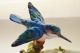 Crown Staffordshire Kingfisher Bird Figurine W/ Lotus Porcelain Jt Jones Cobalt Figurines photo 1