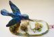 Crown Staffordshire Kingfisher Bird Figurine W/ Lotus Porcelain Jt Jones Cobalt Figurines photo 3
