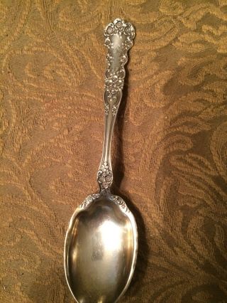 Gorham Sterling Silver Sugar Spoon Buttercup Style photo