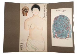 Rare Antique Folding Japanese Anatomical Diagram Lithography Medical Physician photo