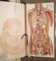 Rare Antique Folding Japanese Anatomical Diagram Lithography Medical Physician Other Medical Antiques photo 2