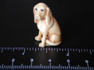Vintage Mini Japanese Or Chinese Finely Carved Netsuke Or Ojime Of Dog.  Signed. photo