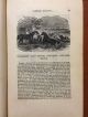 Moore ' S Universal Assistant 1882 Science Technology Facts Recipes 500 Engravings Other Mercantile Antiques photo 4