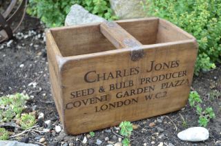 Small Vintage Style Daffodil Bulbs Wooden Crate Box Covent Garden England C16 photo