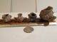 4 Huastec Mayan Bowls Pre - Columbian Archaic Ancient Artifacts Vera Cruz Olmec The Americas photo 6