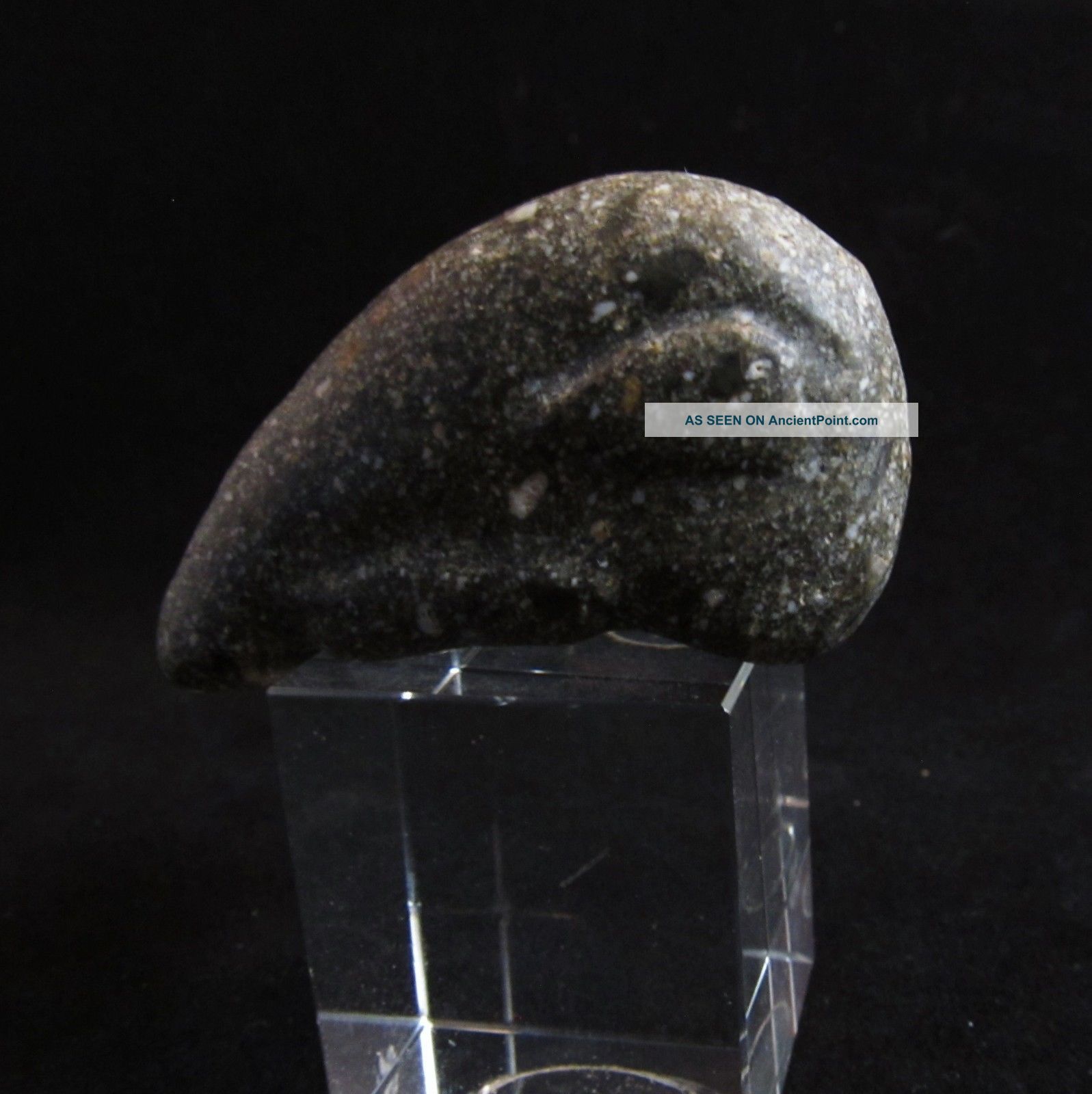 Pre - Columbian Ancient Carved Stone North West Coast Idol Orca/human Effigy Neolithic & Paleolithic photo