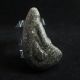 Pre - Columbian Ancient Carved Stone North West Coast Idol Orca/human Effigy Neolithic & Paleolithic photo 6