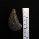 Pre - Columbian Ancient Carved Stone North West Coast Idol Orca/human Effigy Neolithic & Paleolithic photo 7