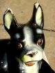 Antique Bryant Pup Large Figural Boston Terrier Retail Advertising Display - Look Other Antique Home & Hearth photo 1